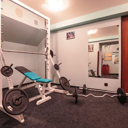 维多利亚酒店 3* 比尔森