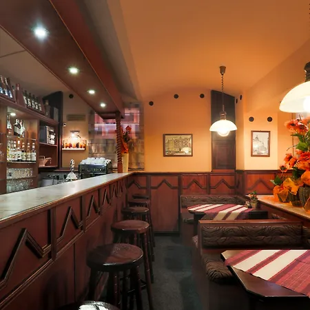 فندق Victoria بلزن