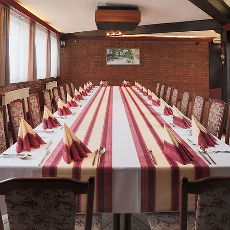 فندق Victoria بلزن