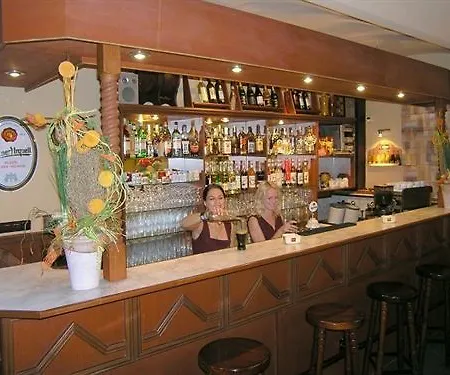 فندق Victoria بلزن