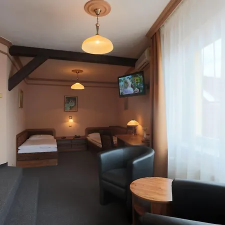 فندق Victoria بلزن